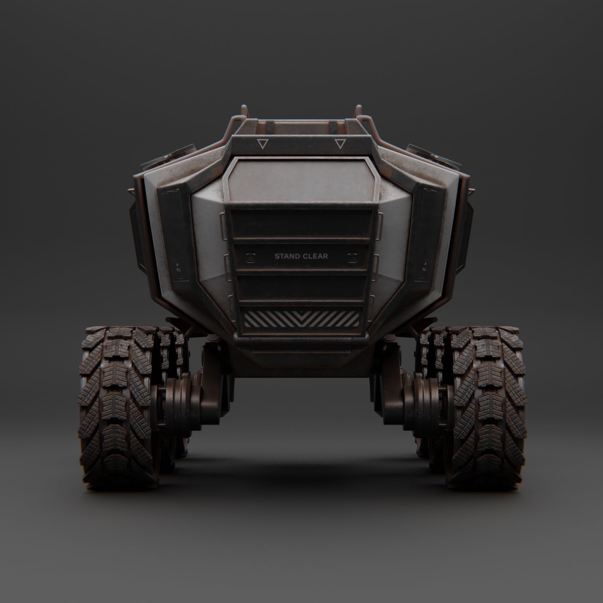 Rover, rear view